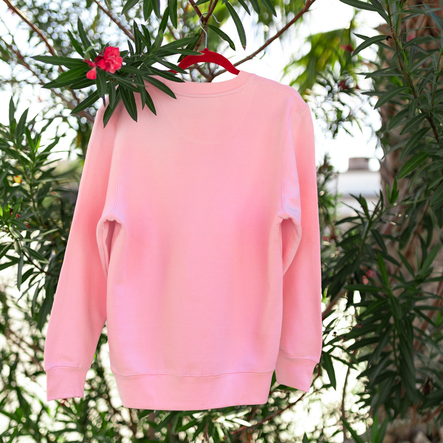 back of pink crew neck