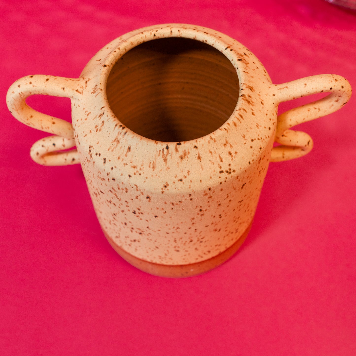 Wave Handle Ceramic Vase